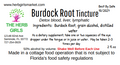 Burdock Ticture