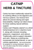 Catnip Leaf